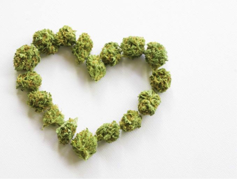 American Heart Month and Marijuana’s Relation To Heart Diseases