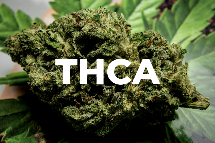 What Is THCA? How Does It Work? What Are The Benefits?