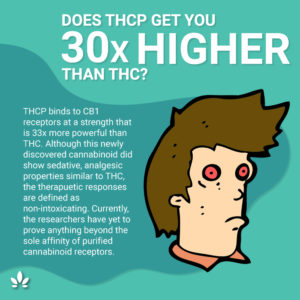 Will THCP Actually Get You 30x Higher Than THC?