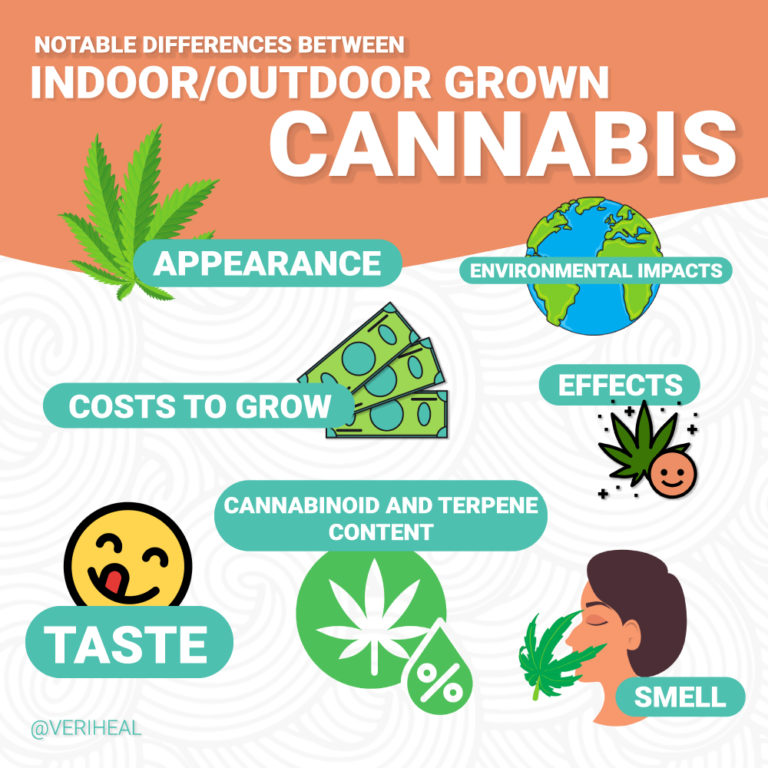 Indoor Vs Outdoor Grown Cannabis: Which Is Better?