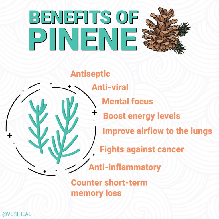 Terpene Spotlight: Discovering The Benefits Of Pinene