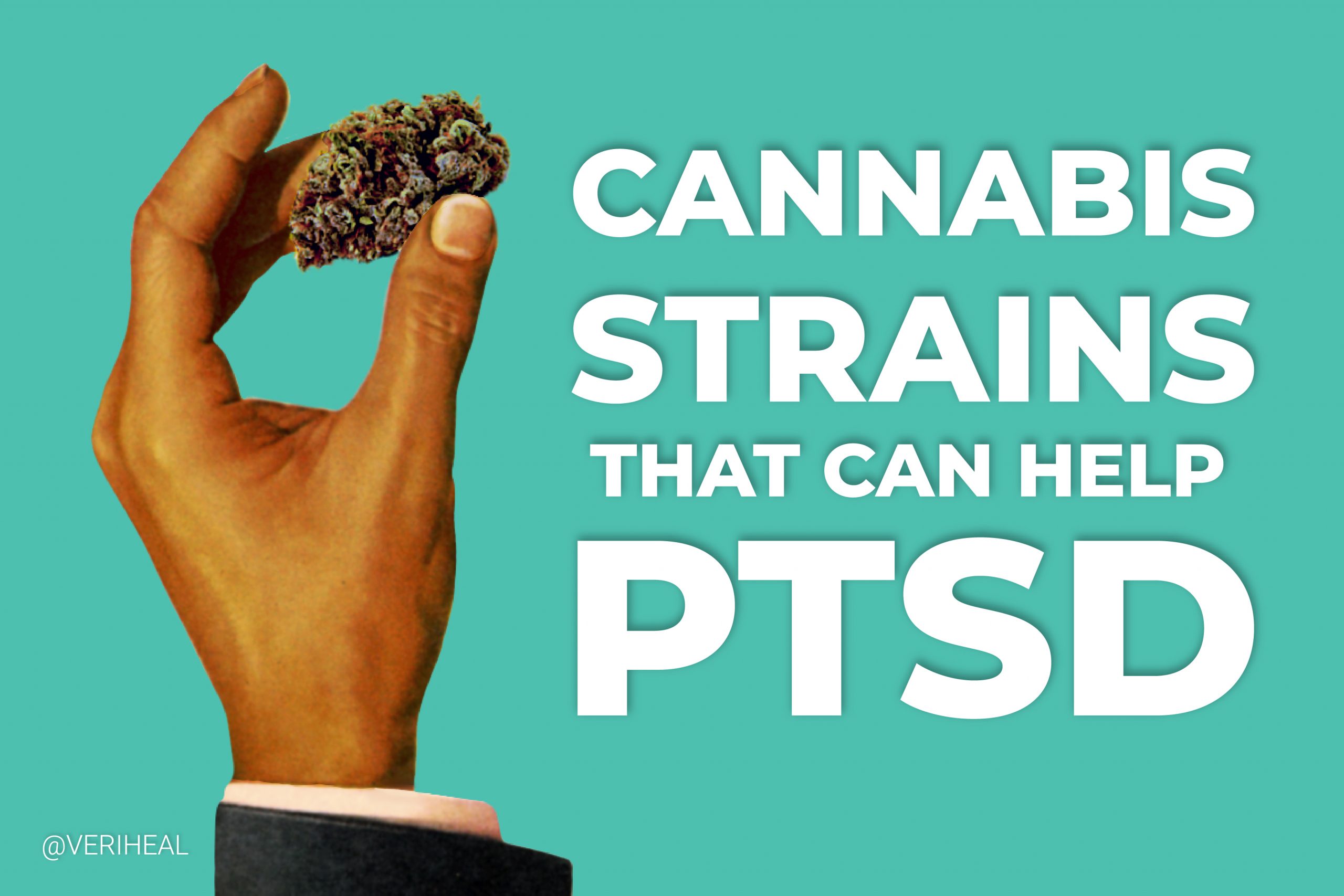 5 Preferred Cannabis Strains That Can Help With PTSD  