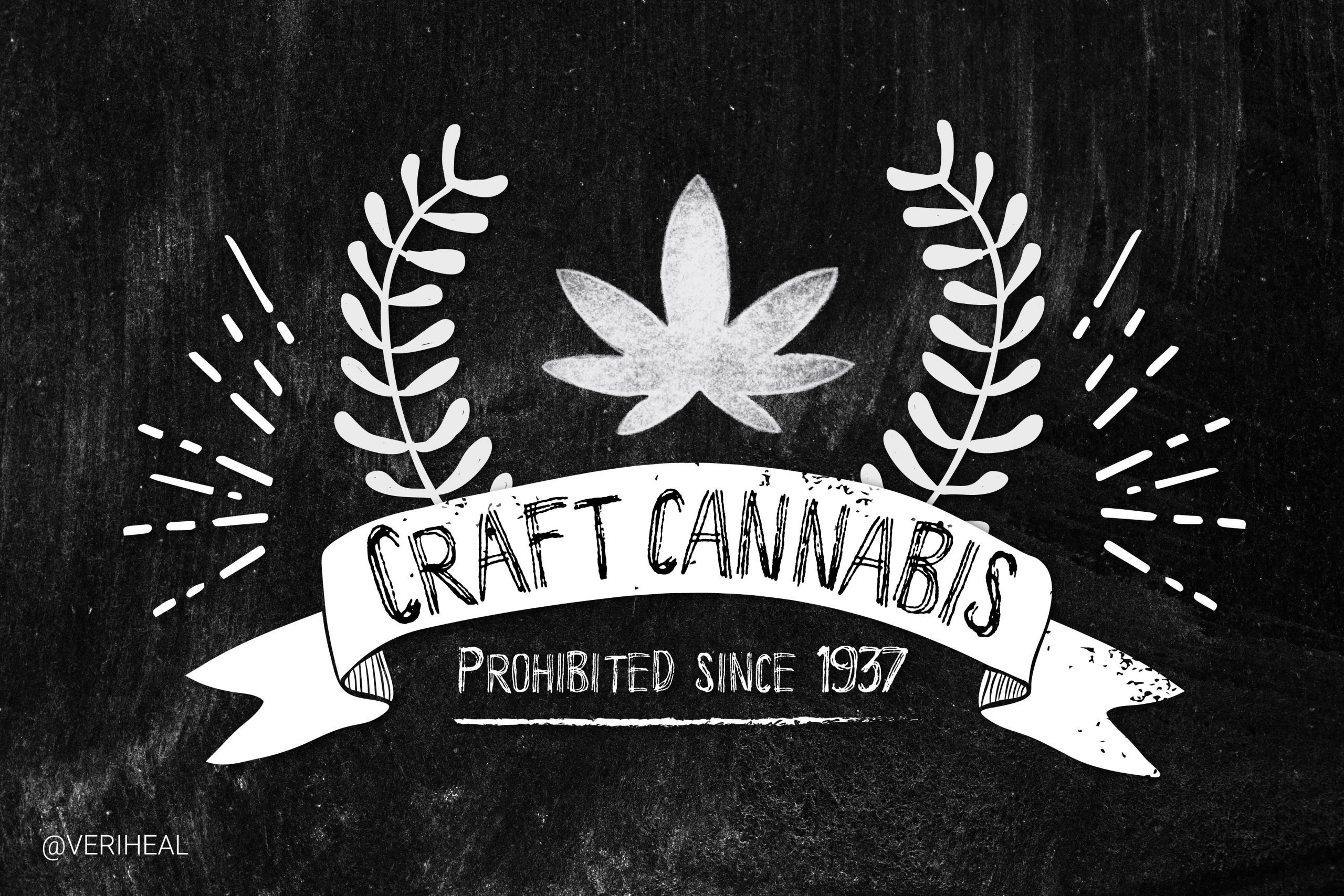 Is the Future of Cannabis in Craft or Commercial Cultivation?