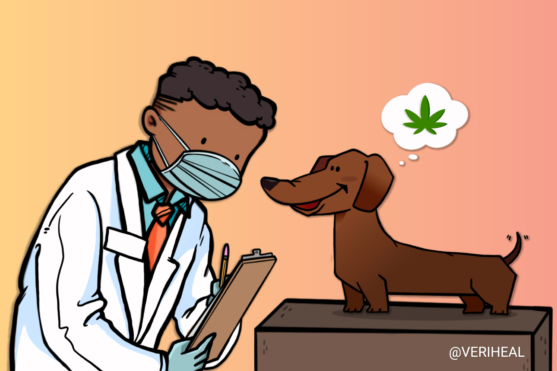 Rhode Island Veterinarians May Soon Be Able to Approve Pets for Cannabis Therapy