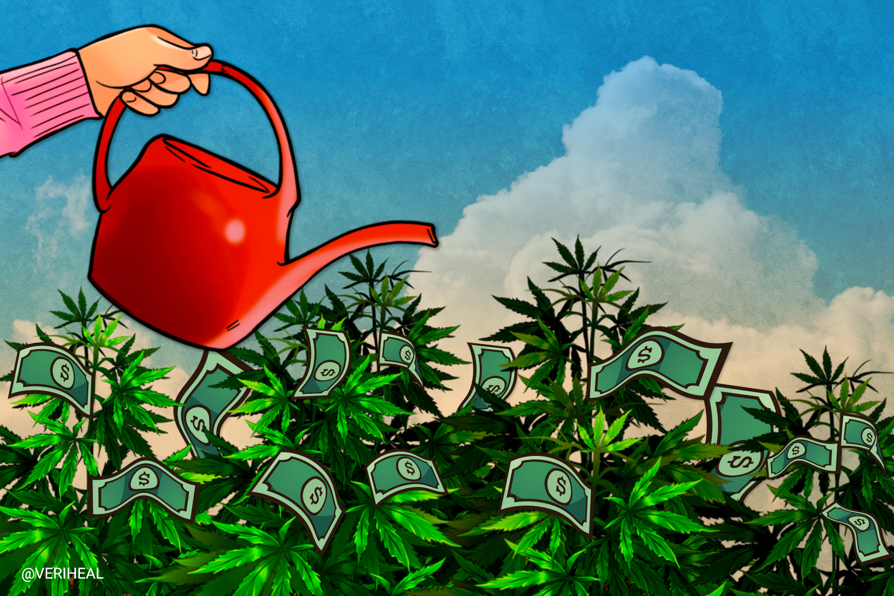 These Top Valuable Cannabis Companies are Worth a TON