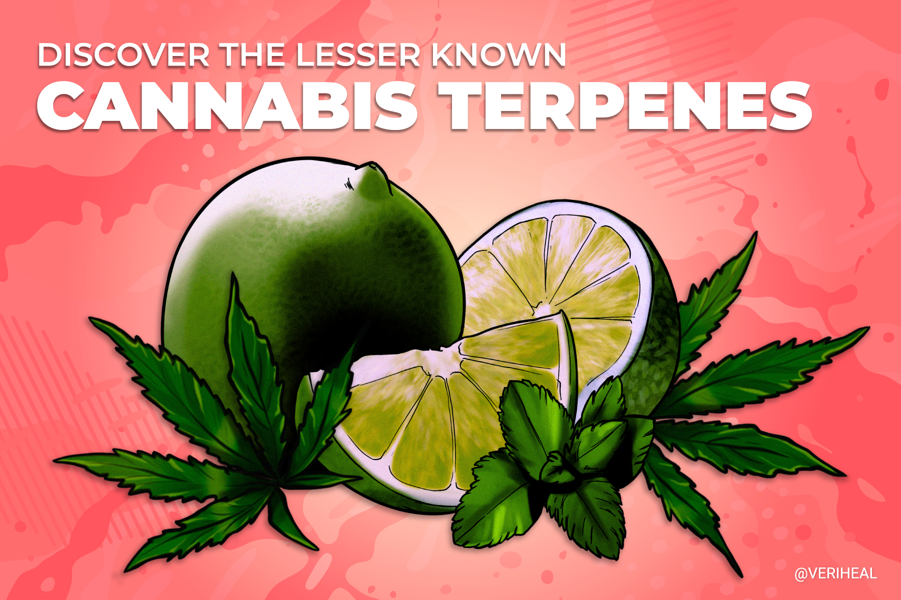 Discover the Lesser-Known Cannabis Terpenes No One’s Heard Of