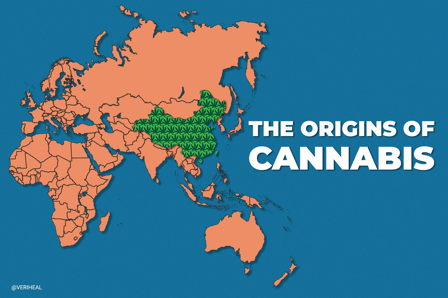 A Study Confirms That the Roots of Cannabis Originate in Northwest China
