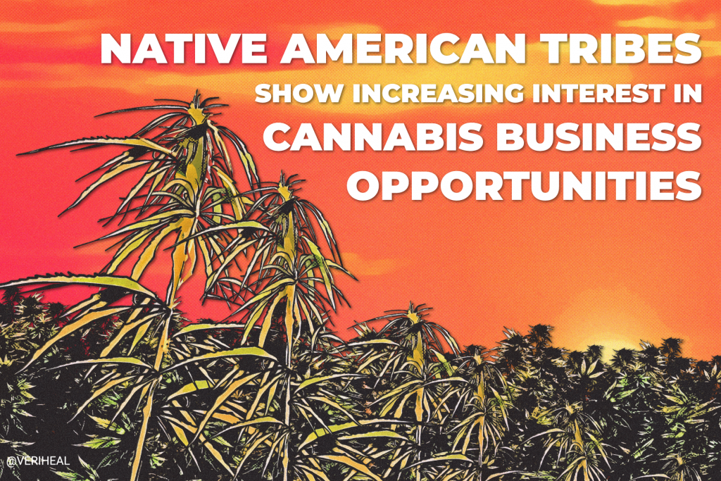 Native American Tribes Show Increasing Interest In Cannabis Business ...