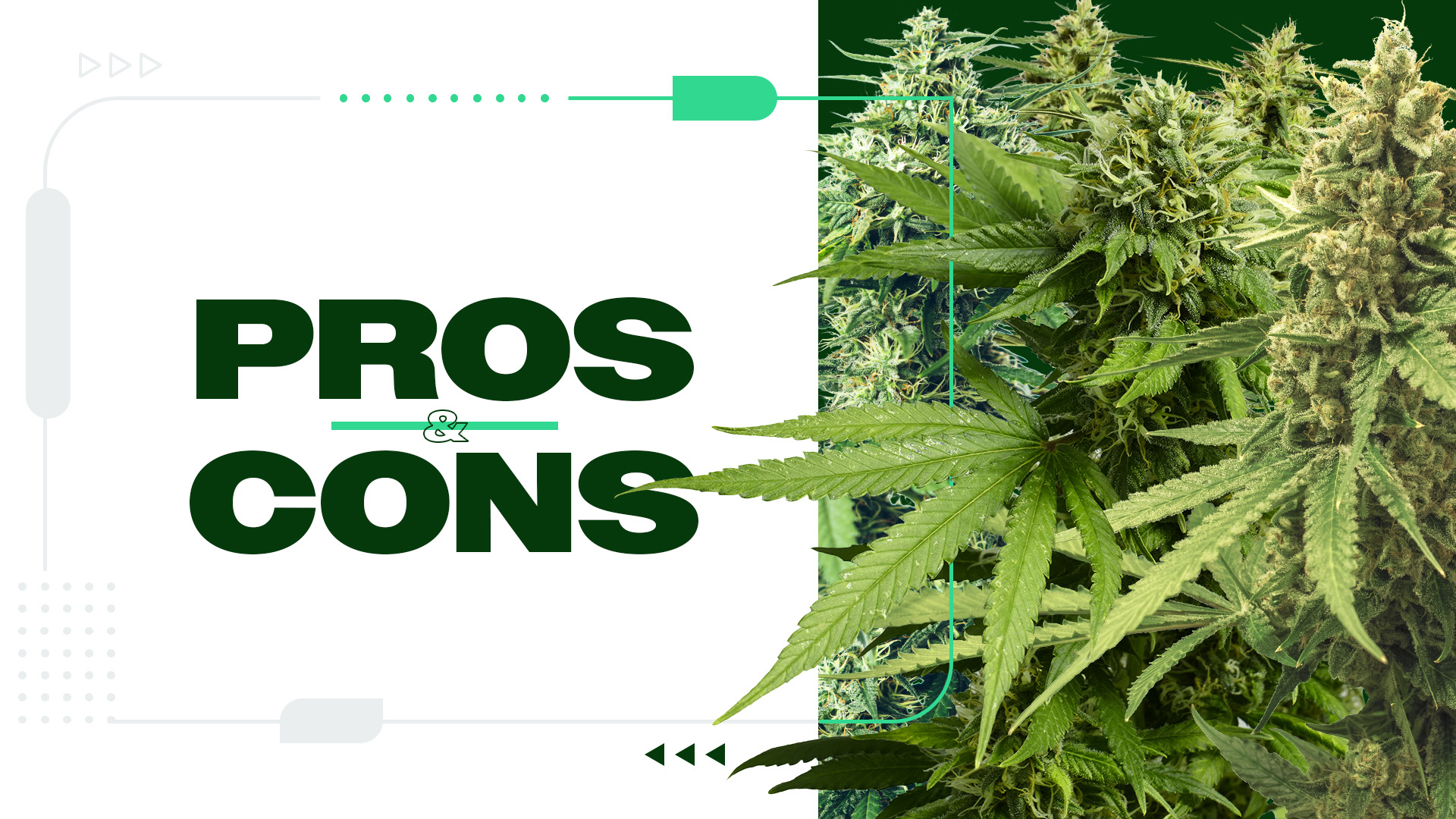 The Pros and Cons of Cannabis Use: Health Insights