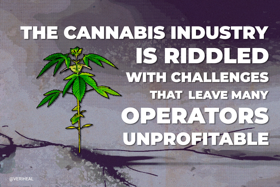 The Cannabis Industry Is Riddled With Challenges That Leave Many Operators Unprofitable