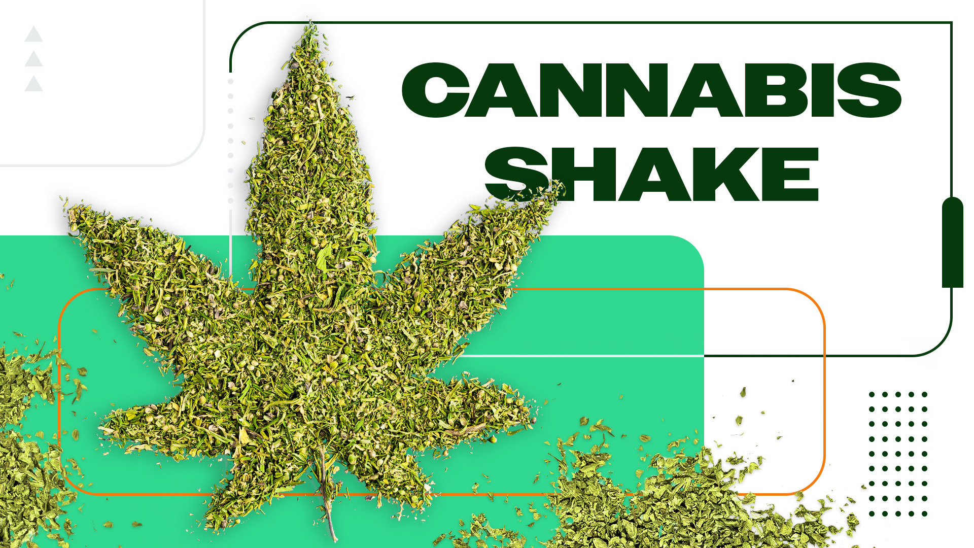 What Is Shake Weed: Everything You Need To Know