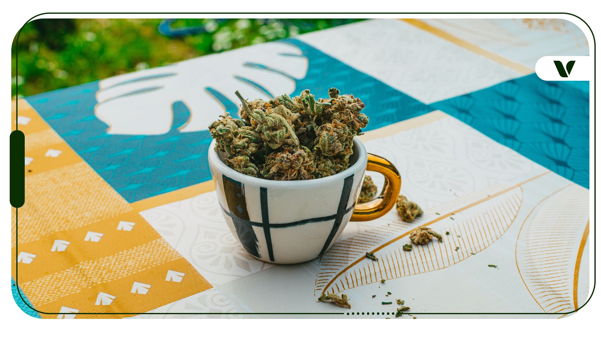 9 Best Daytime Cannabis Strains