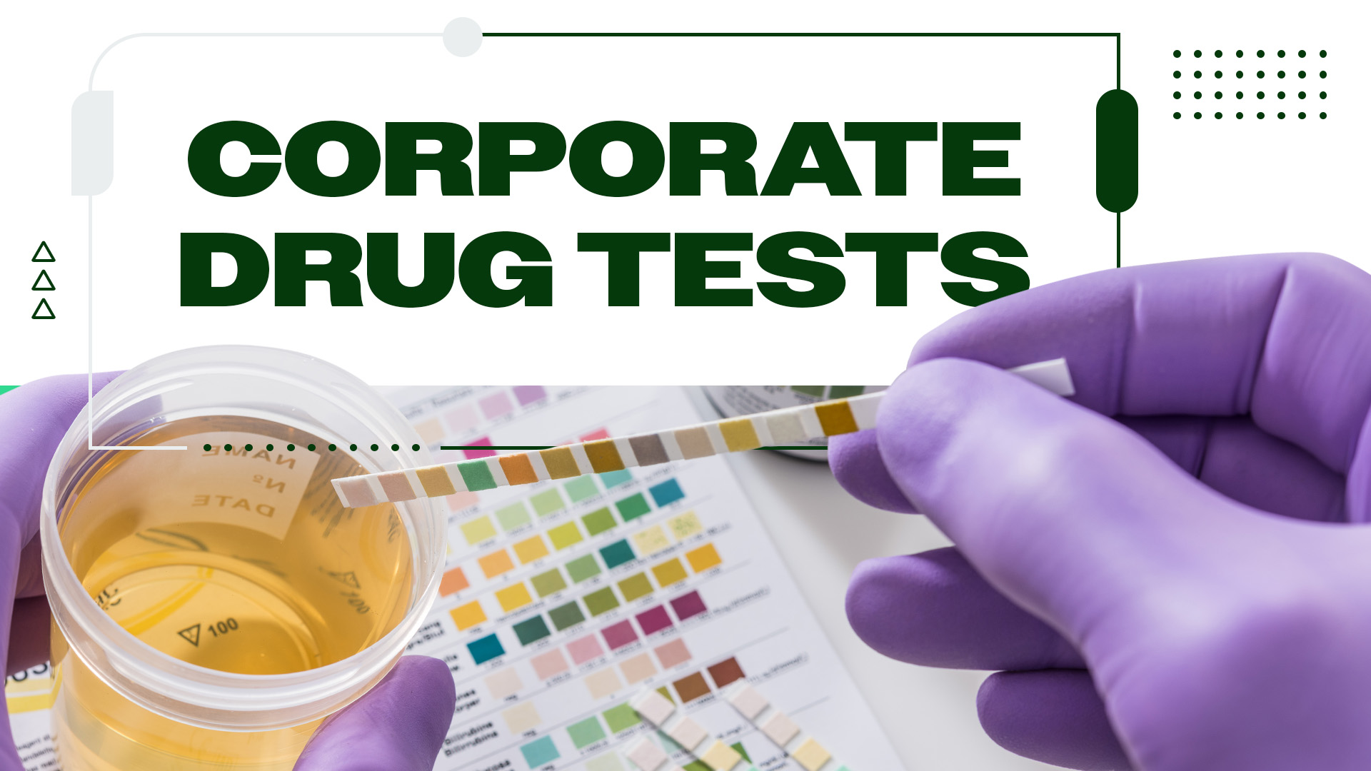 Understanding Employee Drug Testing: What You Need To Kno