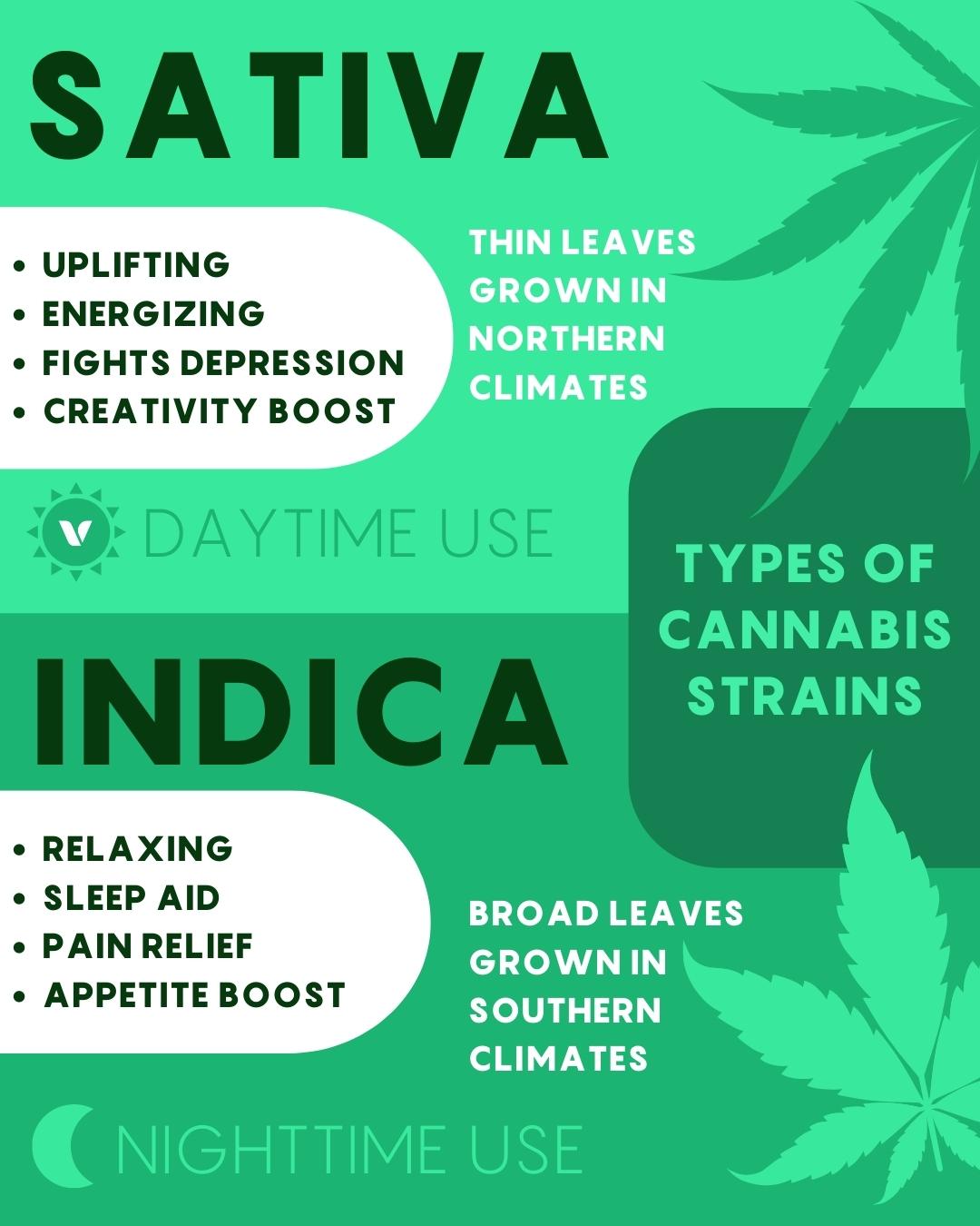 Understanding Indica Vs. Sativa Vs. Hybrid Cannabis Strains