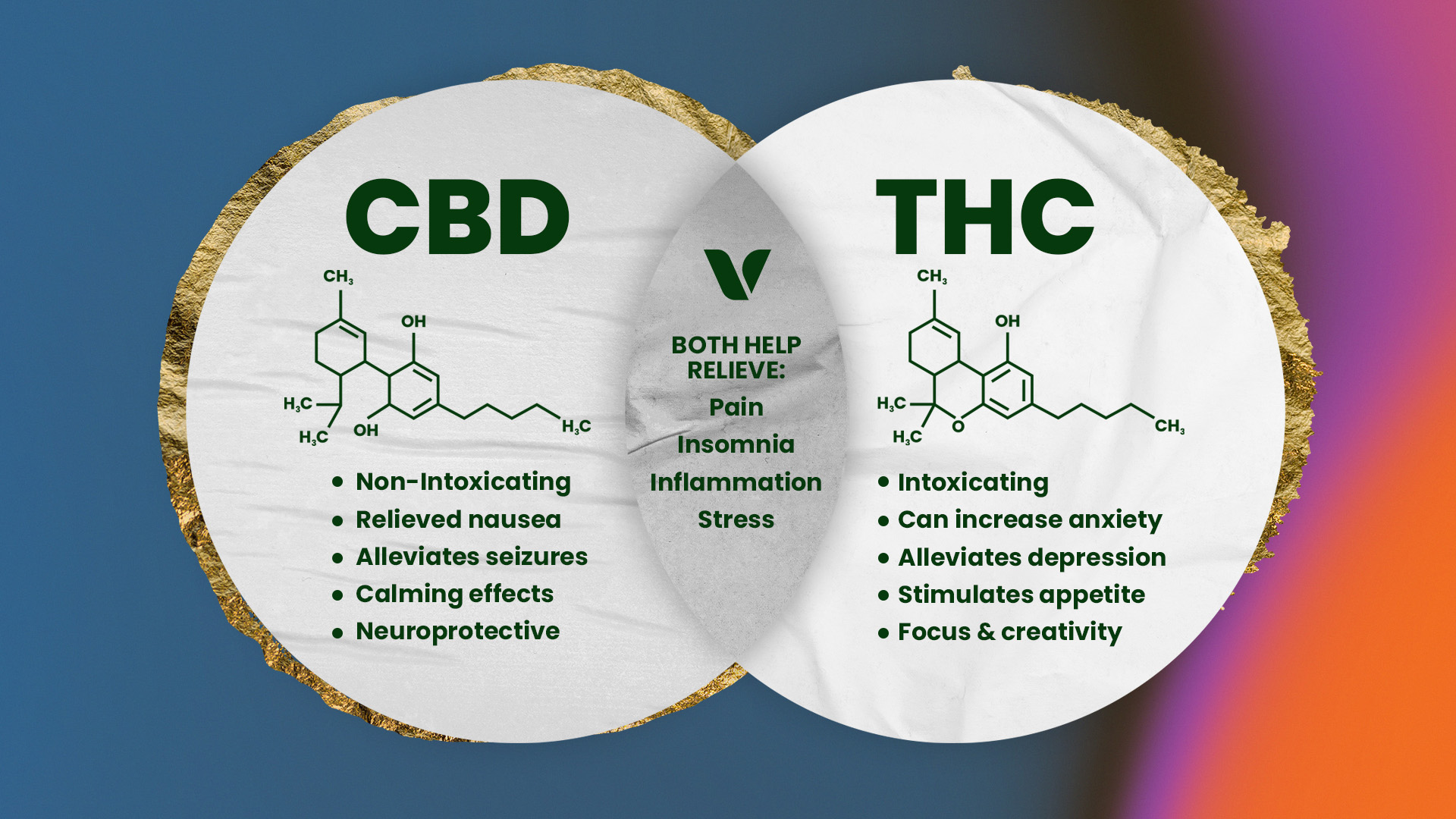 Understanding Indica Vs. Sativa Vs. Hybrid Cannabis Strains