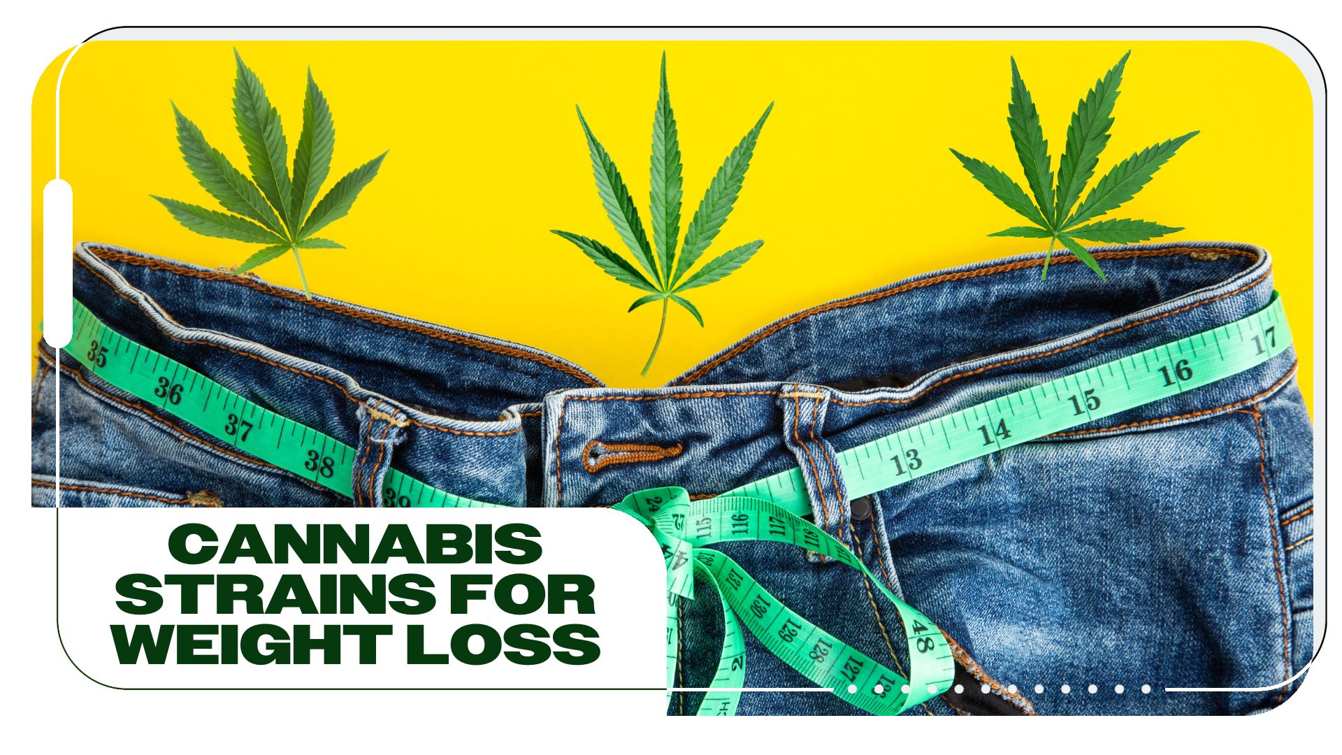 The Top 8 Cannabis Strains For Weight Loss