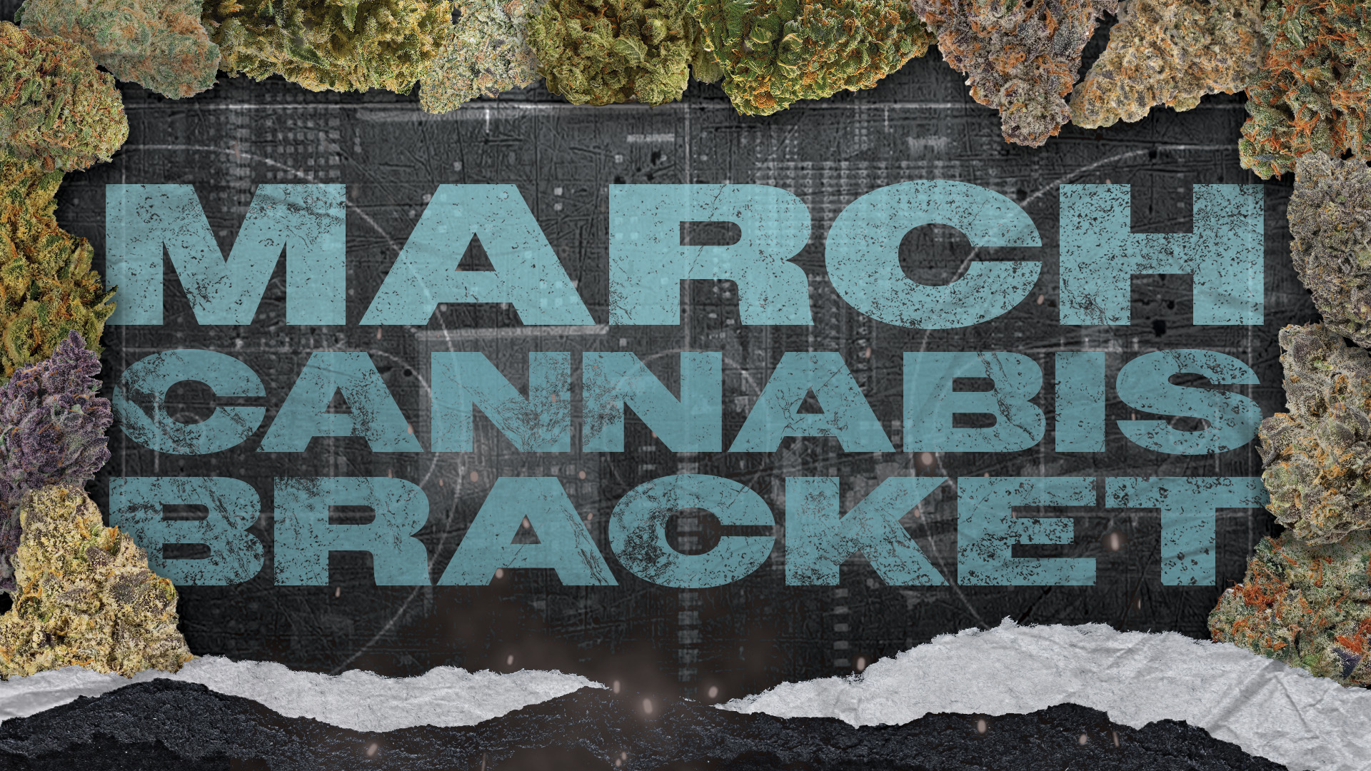 March Cannabis Bracket: Vote For Your Favorite Strain