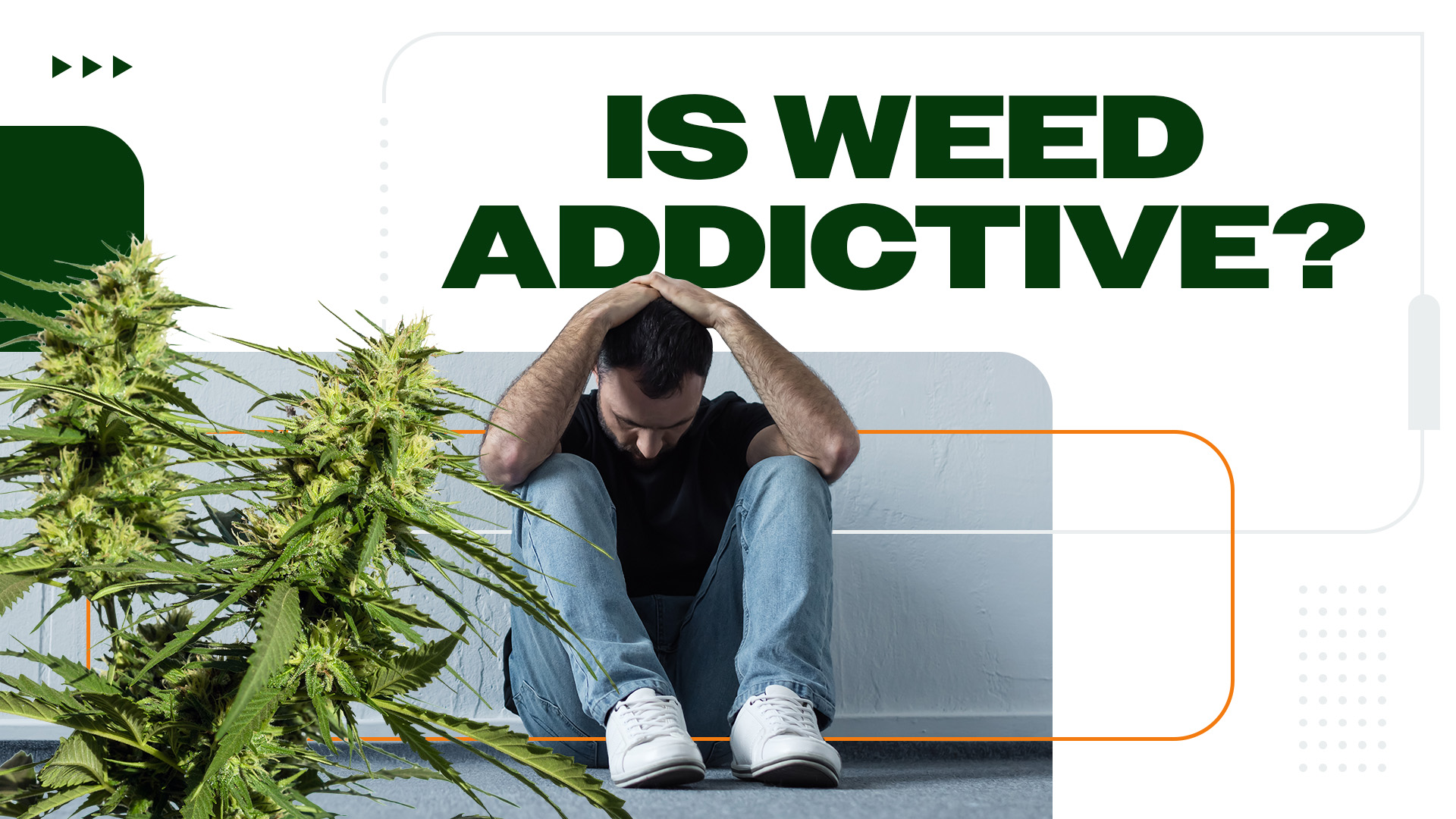 Is Weed Addictive?