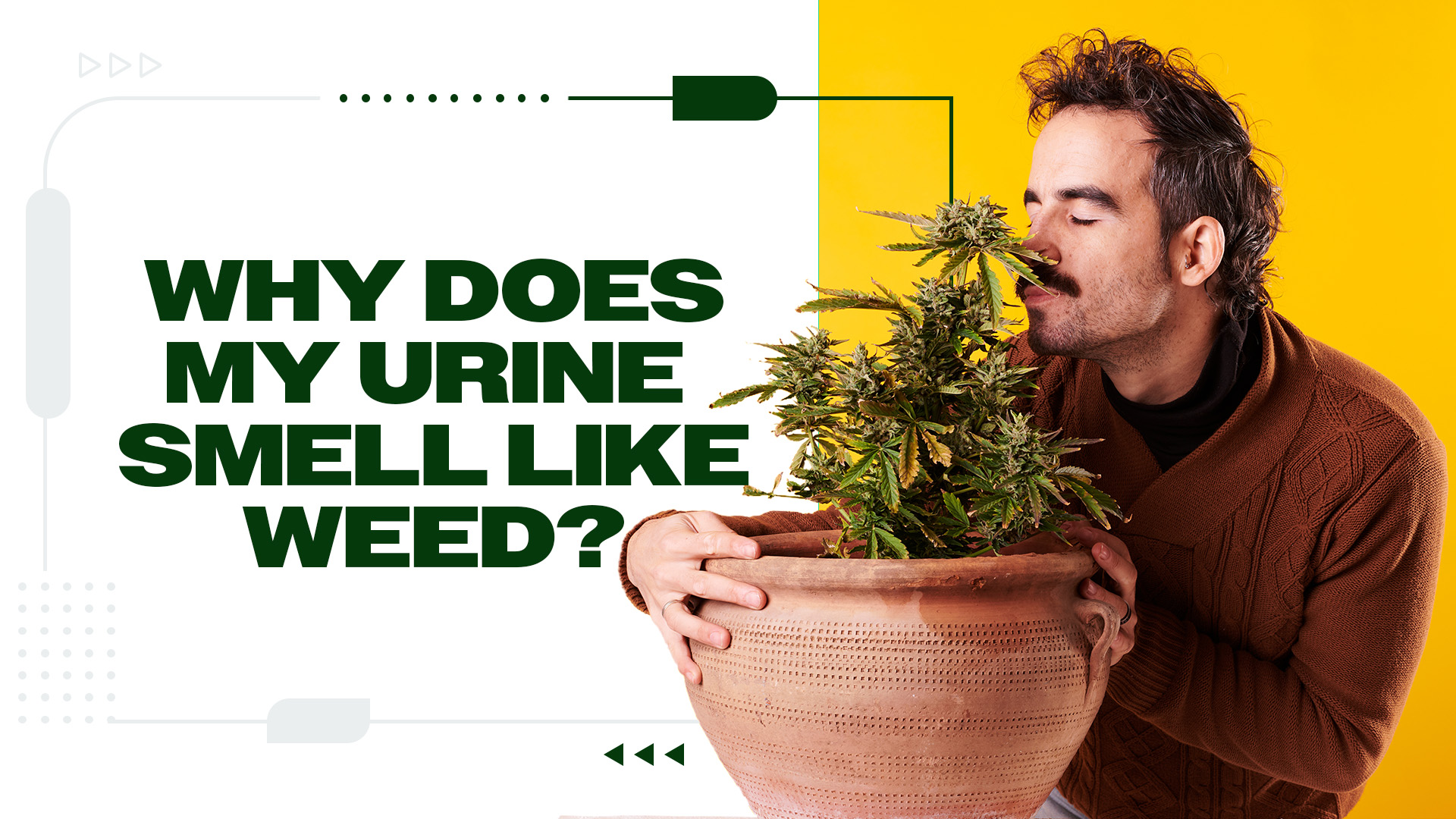 Why Does My Urine Smell Like Weed?
