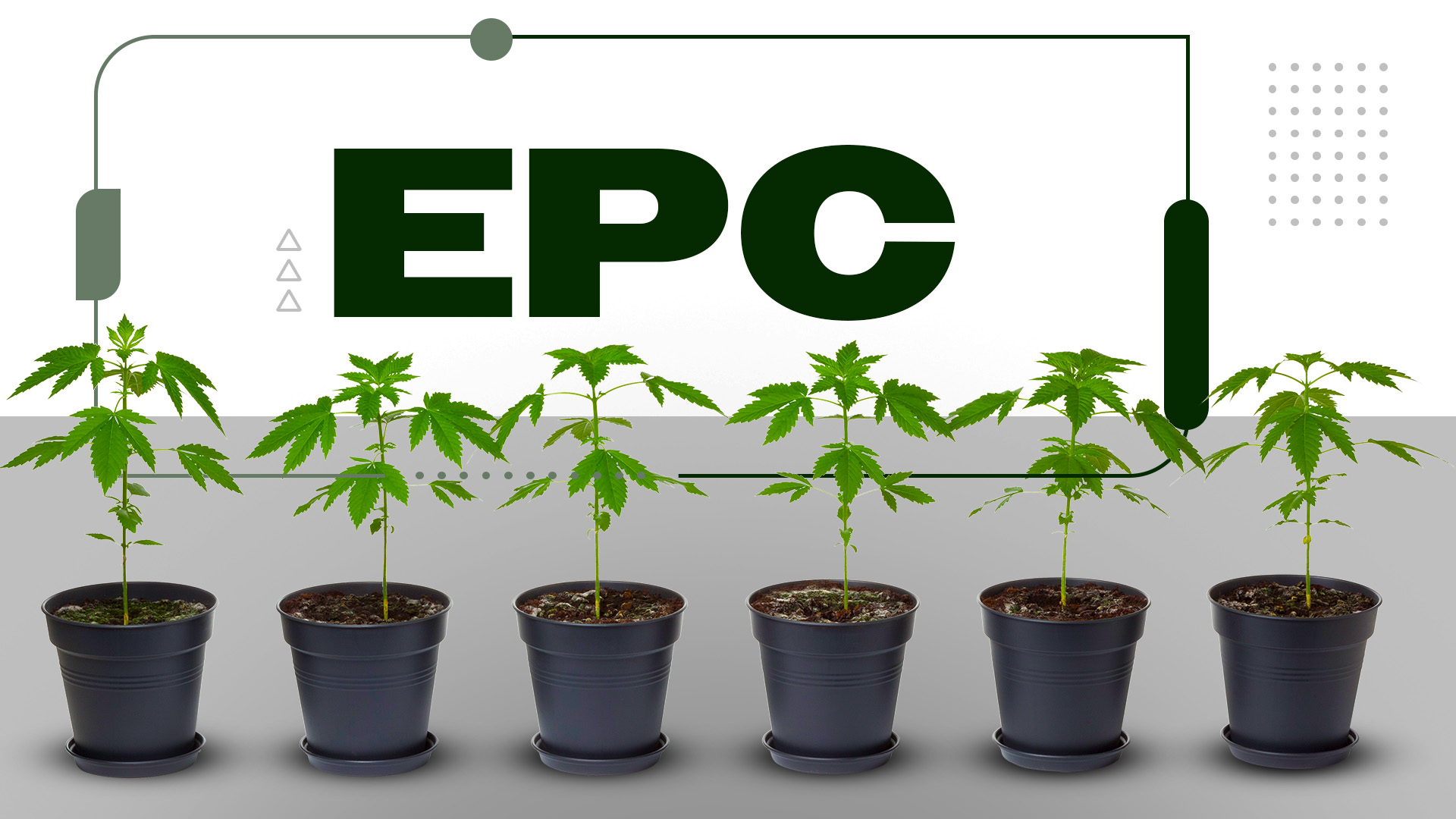 What Is An EPC? Extended Plant Count Explained