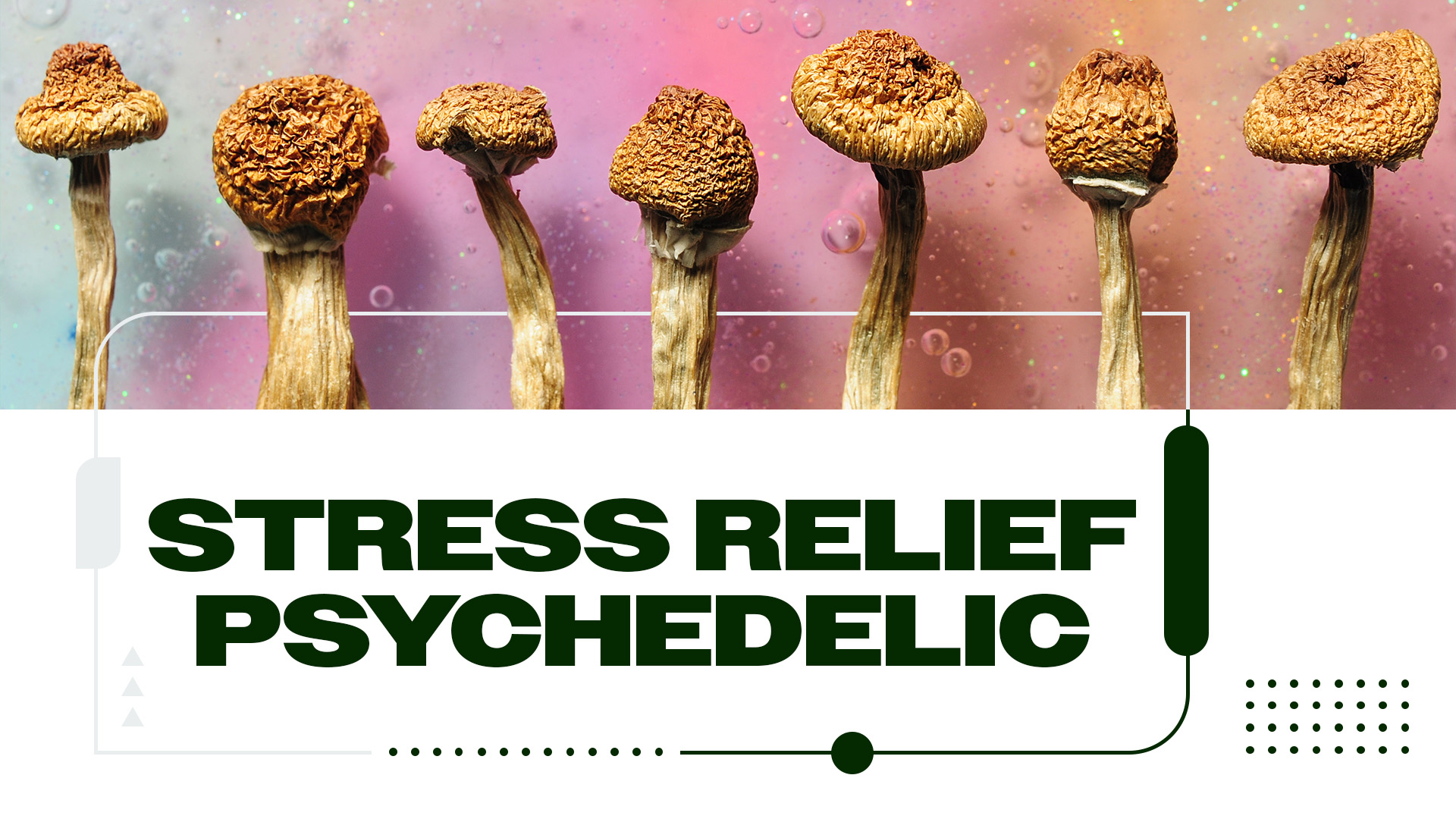 Psychedelic Compound Shows Promise For Stress Relief