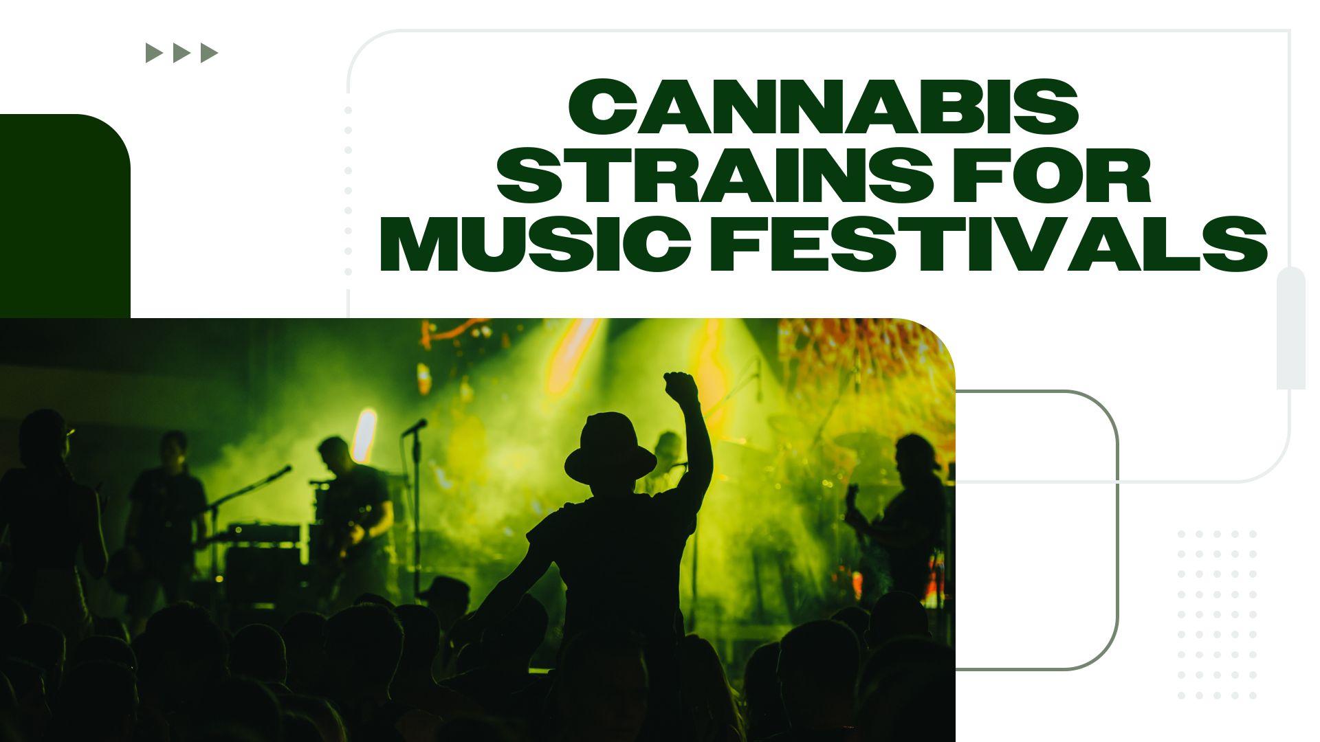 A Music Festival Lovers Guide to Cannabis Strains