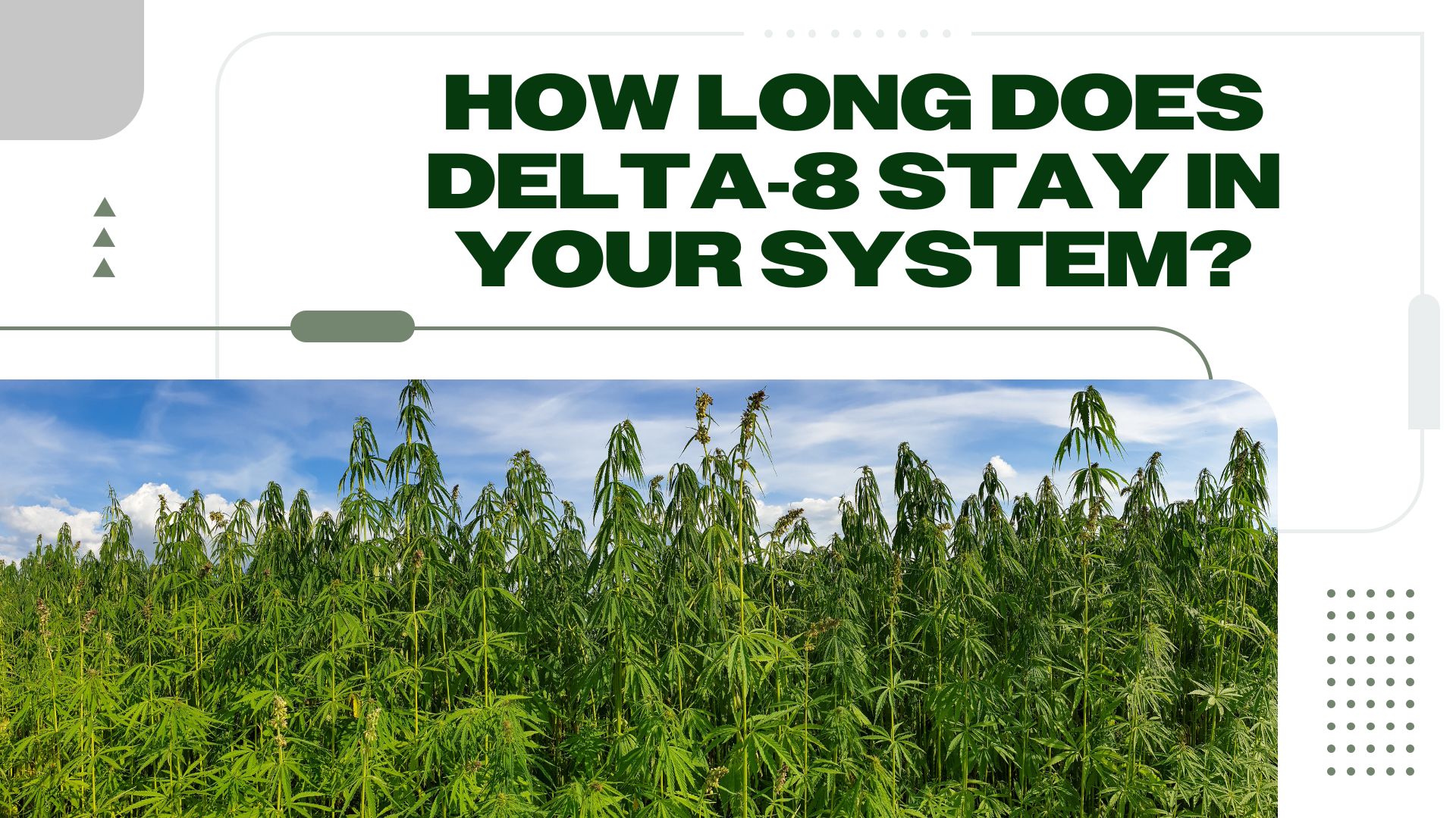 How Long Does Delta-8 Stay In Your System?