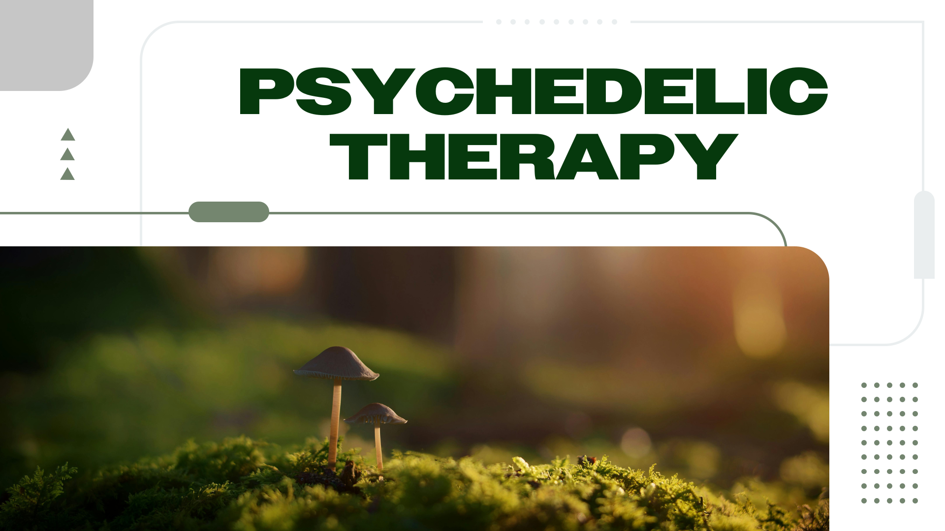 4 Psychedelic Therapy Centers and Retreats for Healing