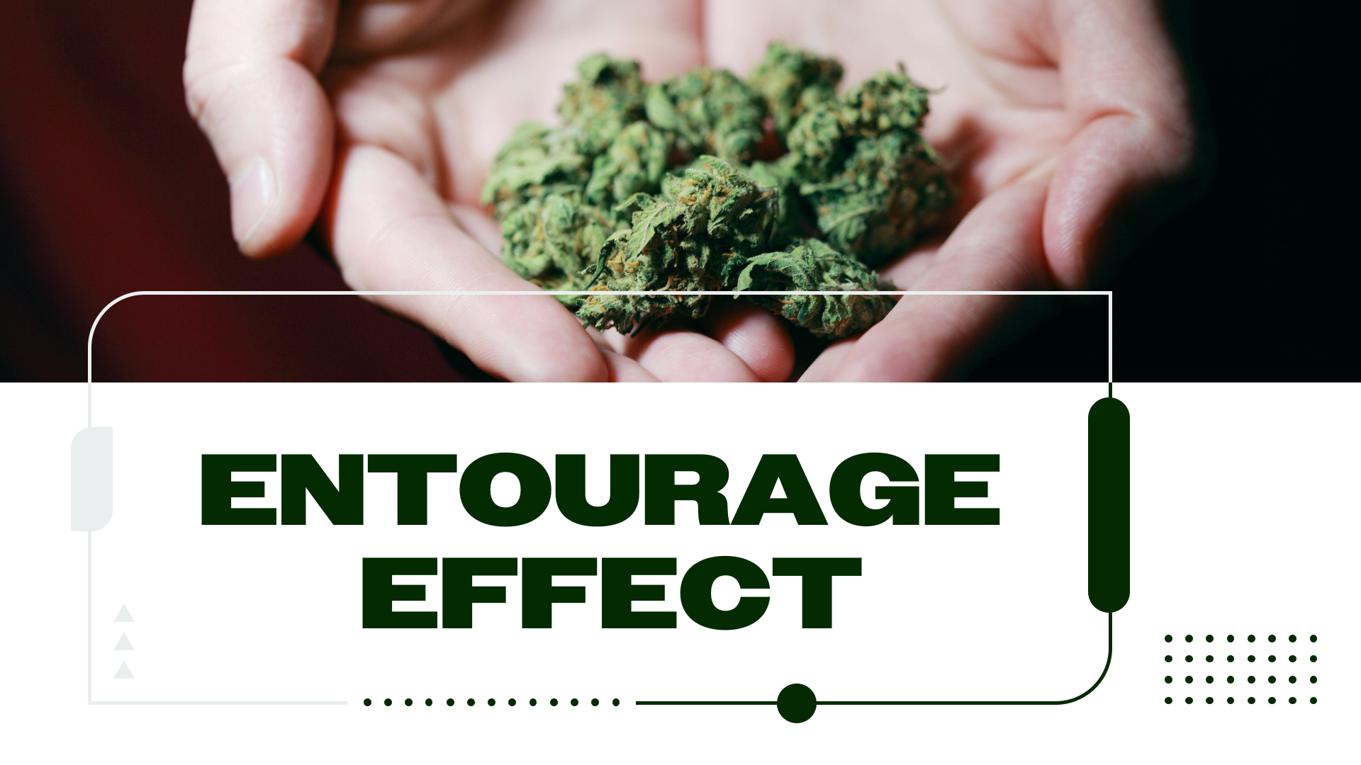 New Study Further Confirms Entourage Effect Of Cannabis