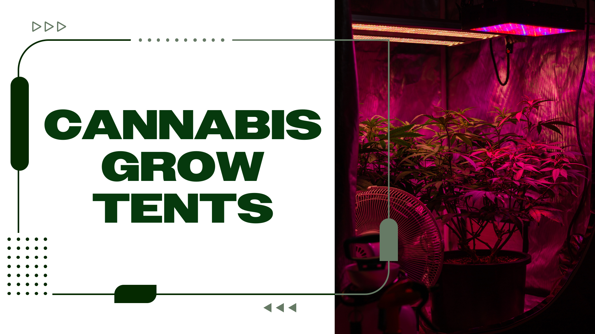 Using Cannabis Grow Tents to Succeed in Indoor Cultivation