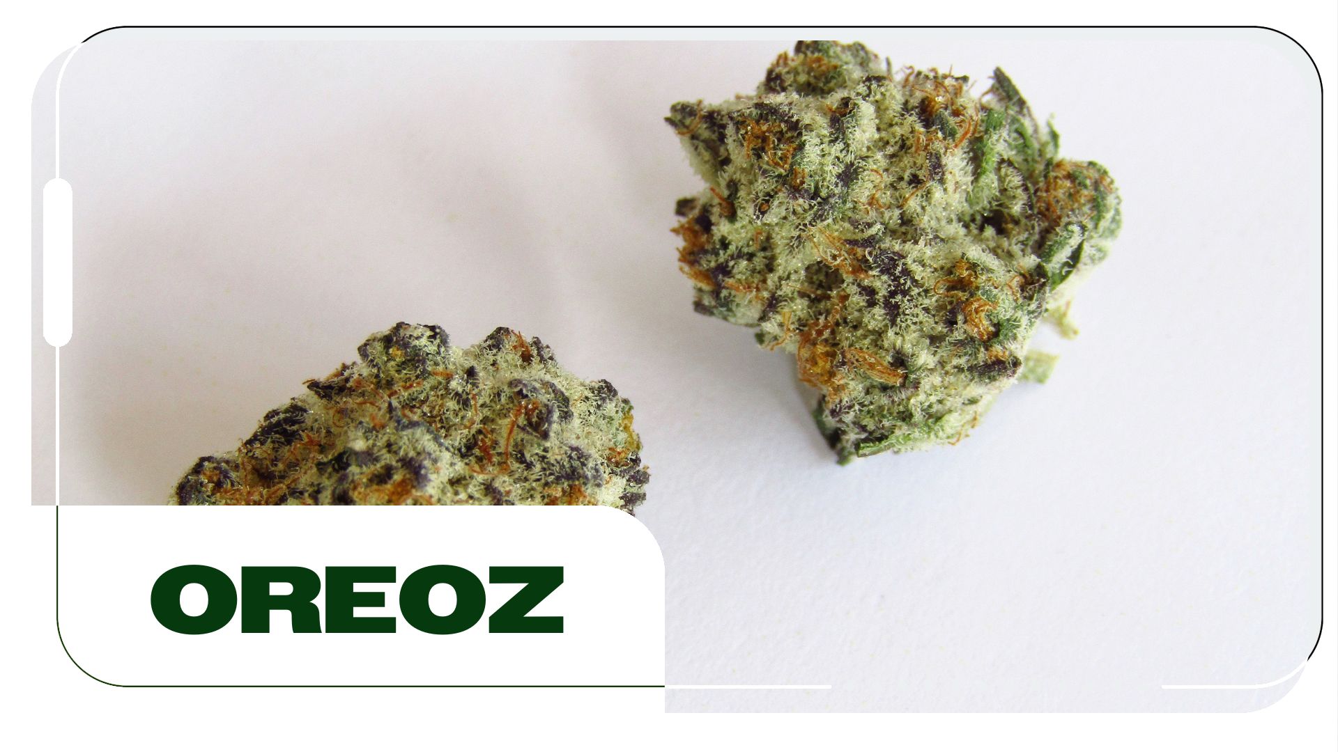 Oreoz Strain: Information & Effects