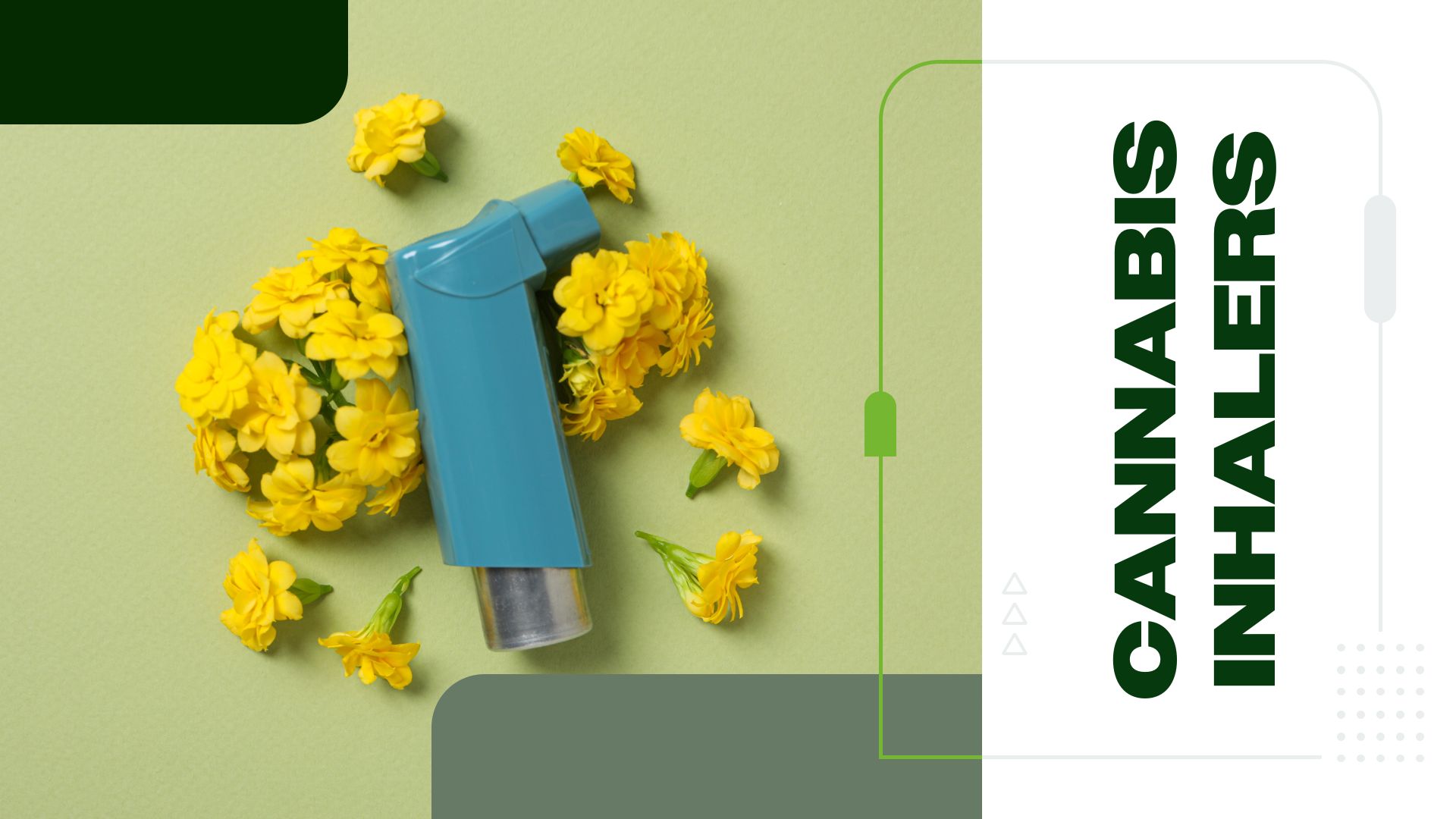 Exploring Cannabis Inhalers: Benefits and Bioavailability