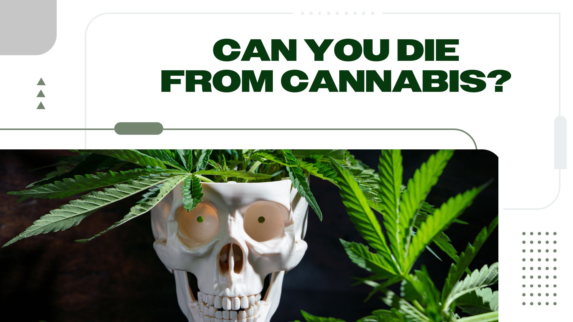 Can You Die From Cannabis? (How Much Weed Will Kill You)