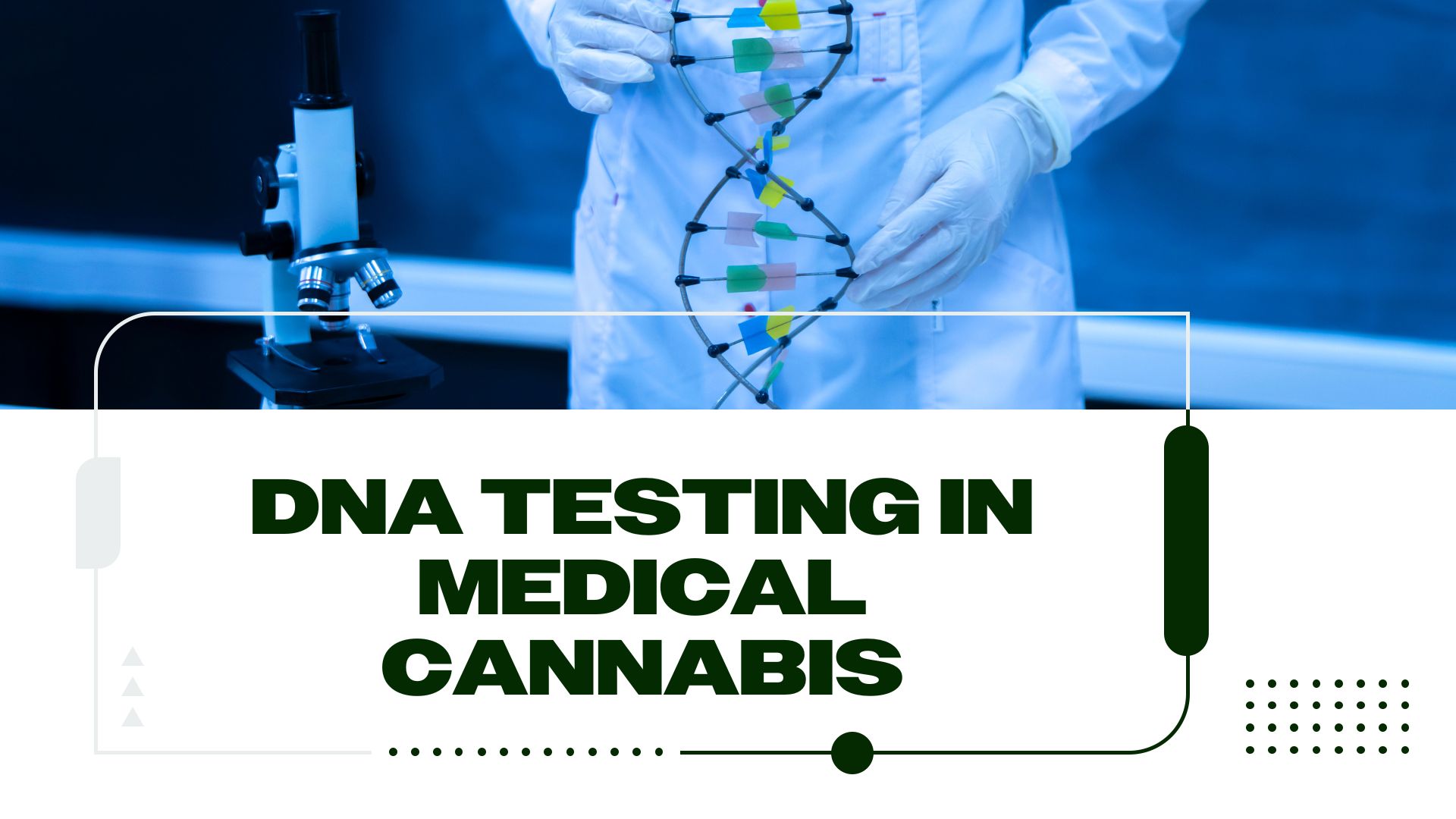 How Can DNA Testing Complement Medical Cannabis Use?