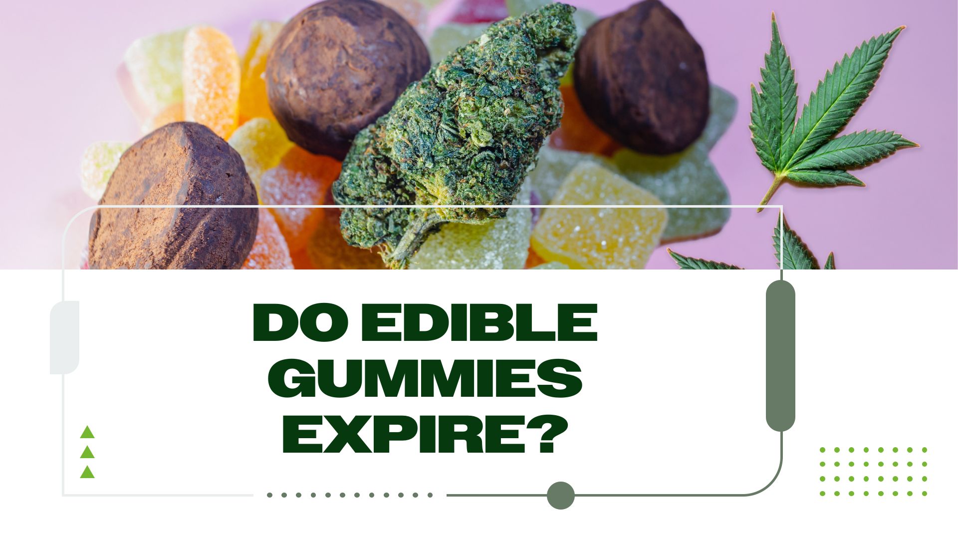 Do Edible Gummies Expire? Safety & Storage Tips from Experts