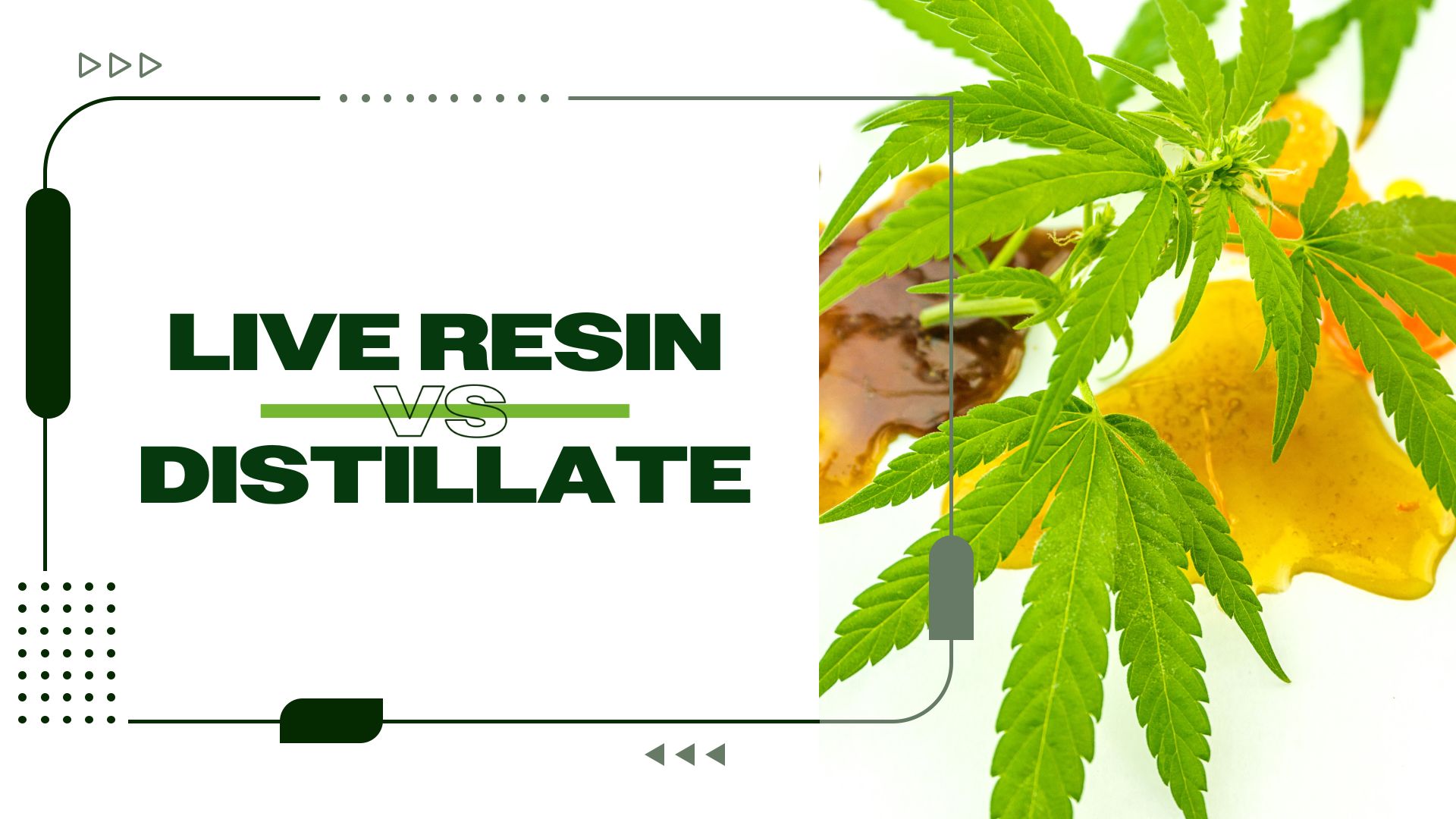 Live Resin Vs. Distillate: Differences and Similarities