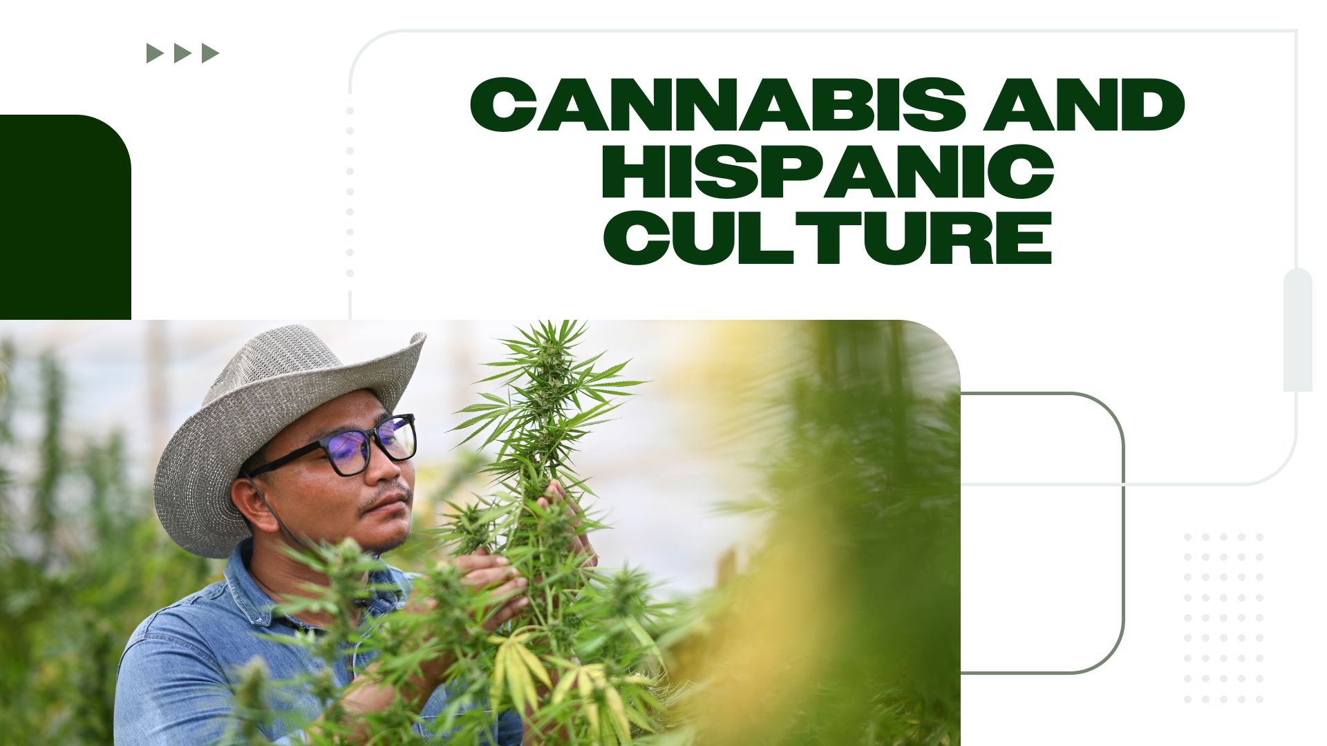 The History of Cannabis & Hispanic Culture (A Timeline)