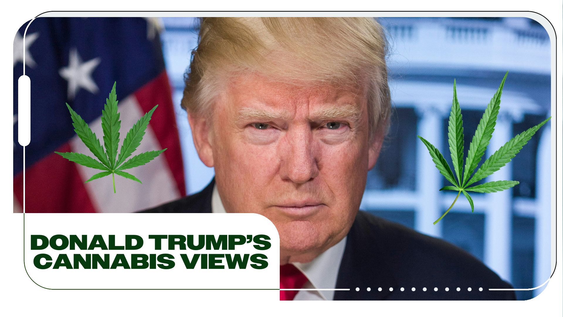 Does Donald Trump Support Cannabis Legalization?