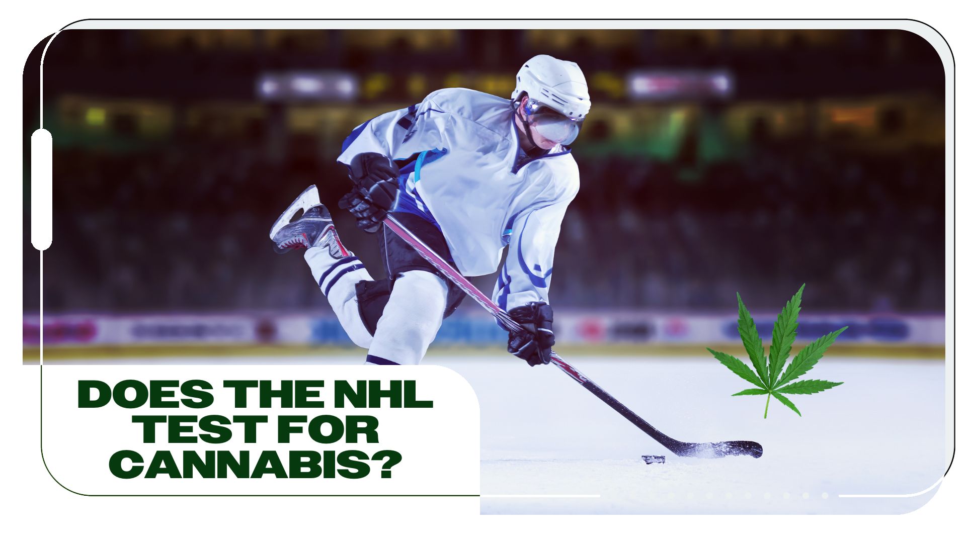 Does the NHL Test for Cannabis?