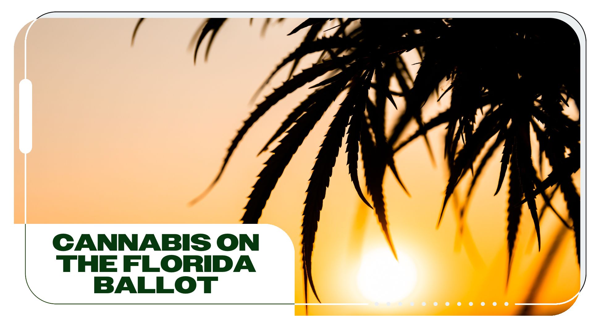 Cannabis on the Ballot: Pros and Cons of Florida Legalization