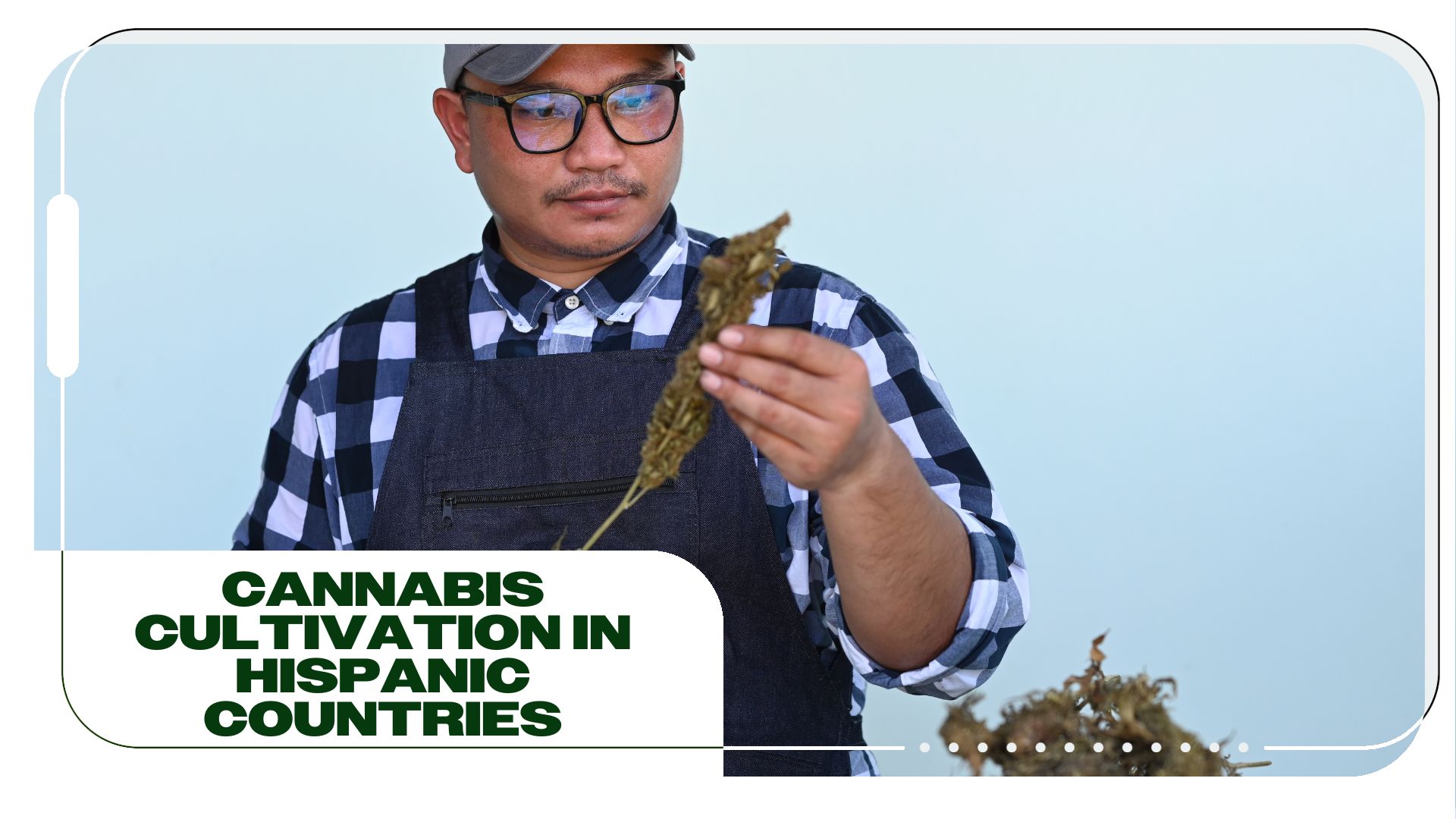 Cannabis Cultivation in Hispanic Countries