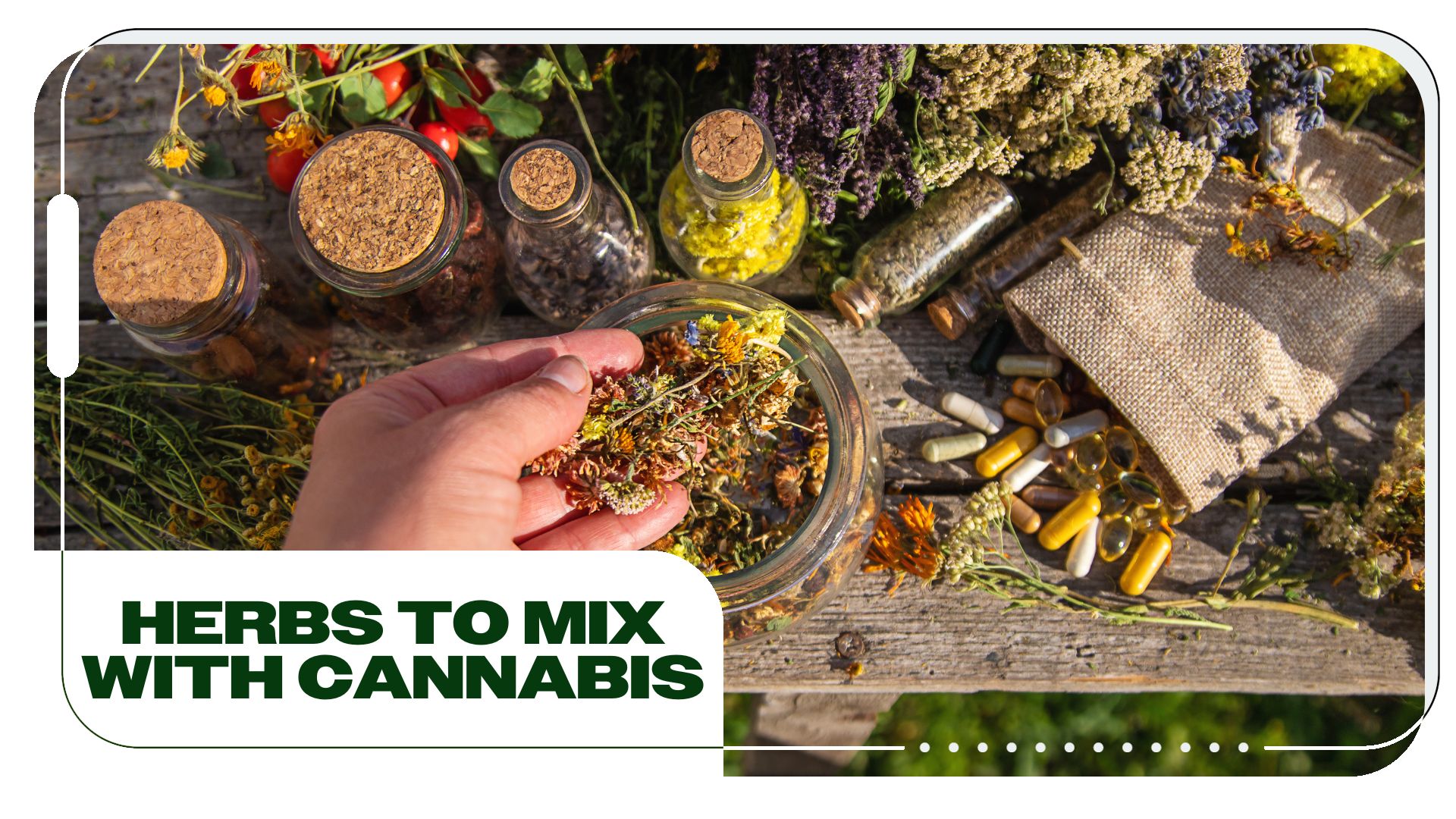 The Best Herbs to Mix With Cannabis