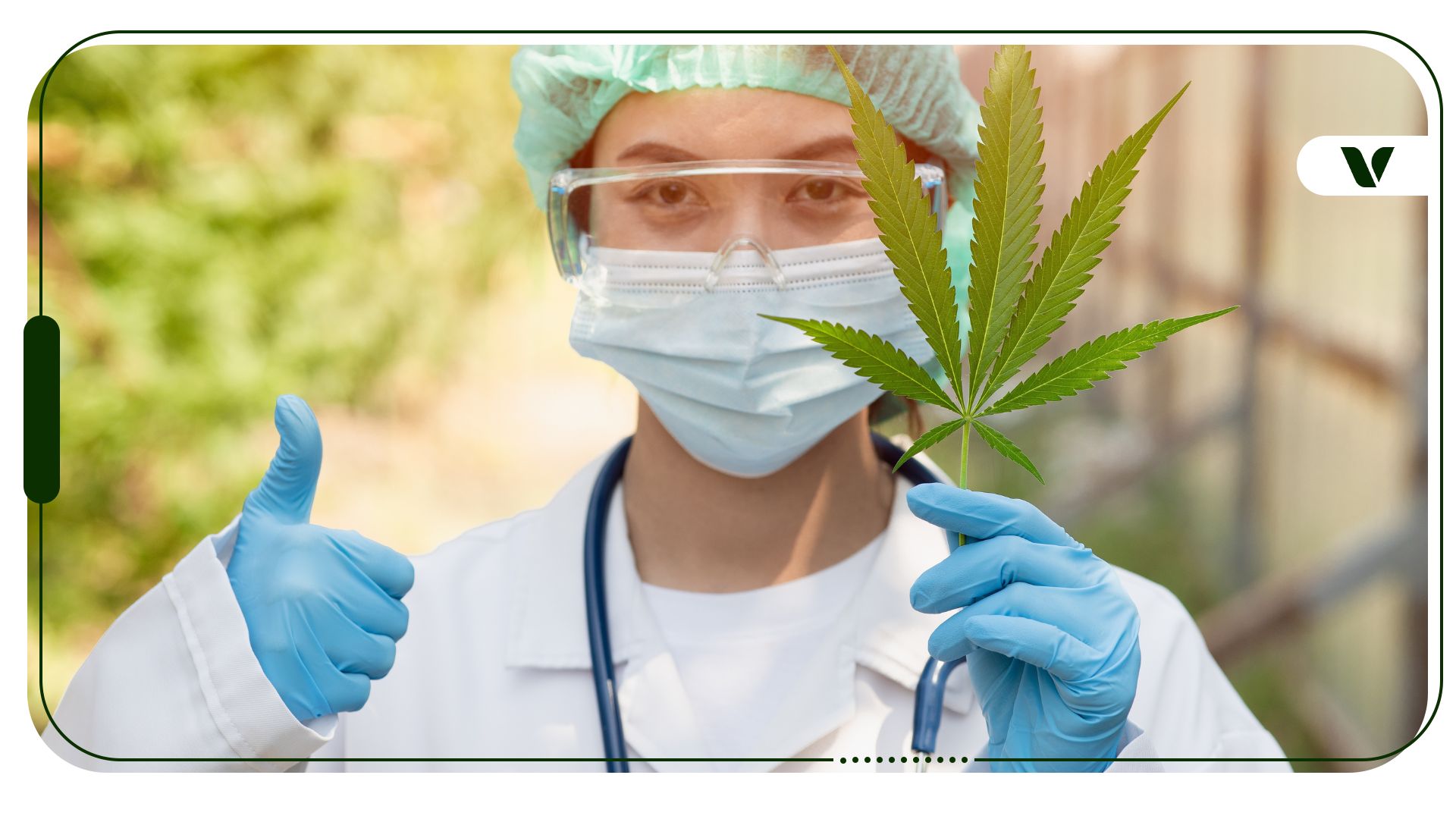 The Benefits Of Consulting Licensed Cannabis Doctors For Your MMJ Certification