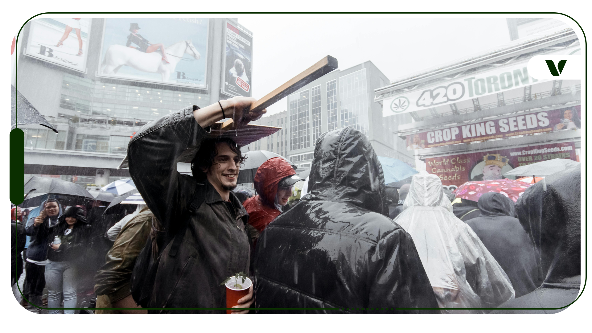 The Evolution of 4/20: From Secret Code Word to Worldwide Cannabis Celebration