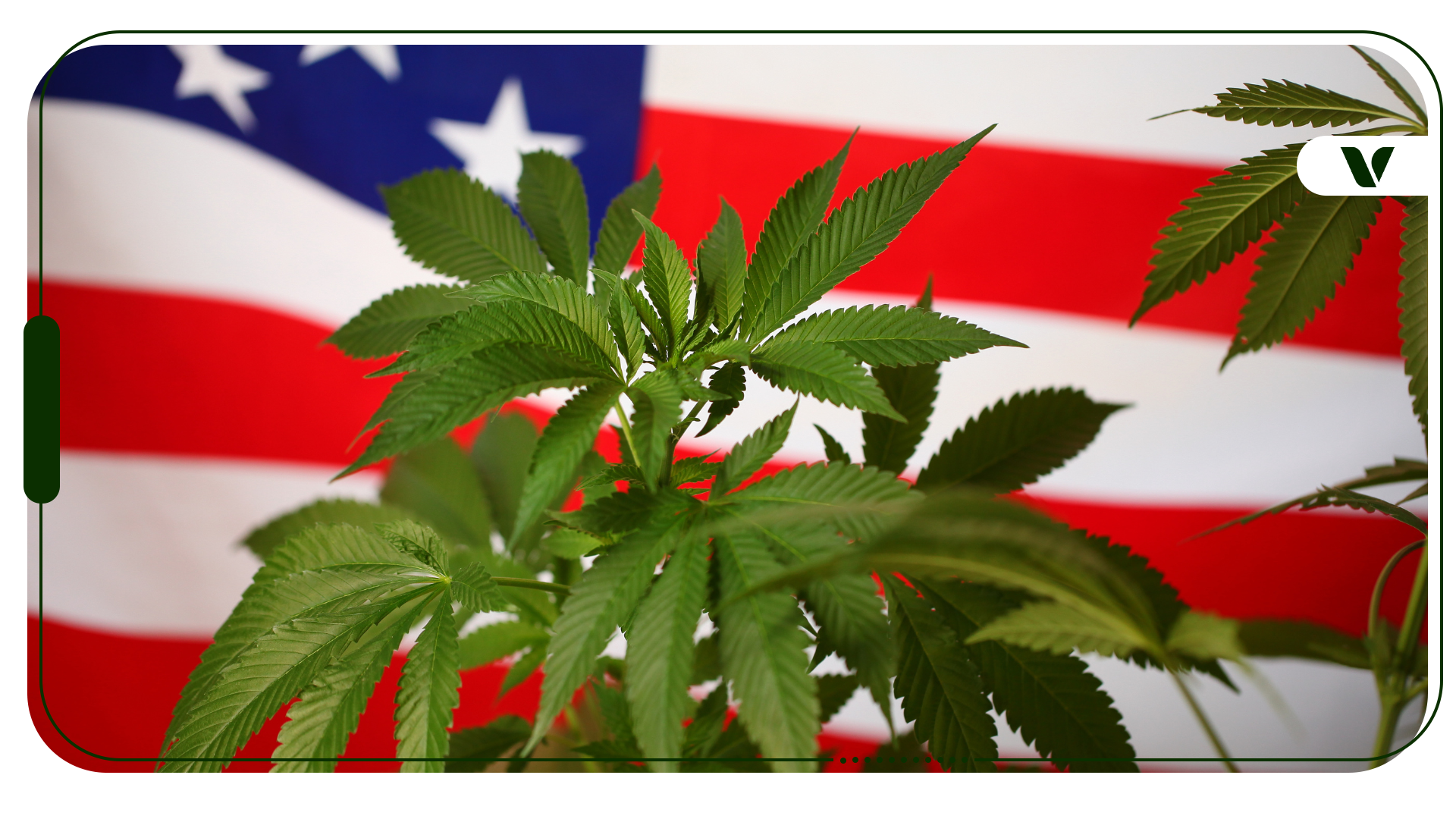 The Rise of Anti-Legalization Efforts