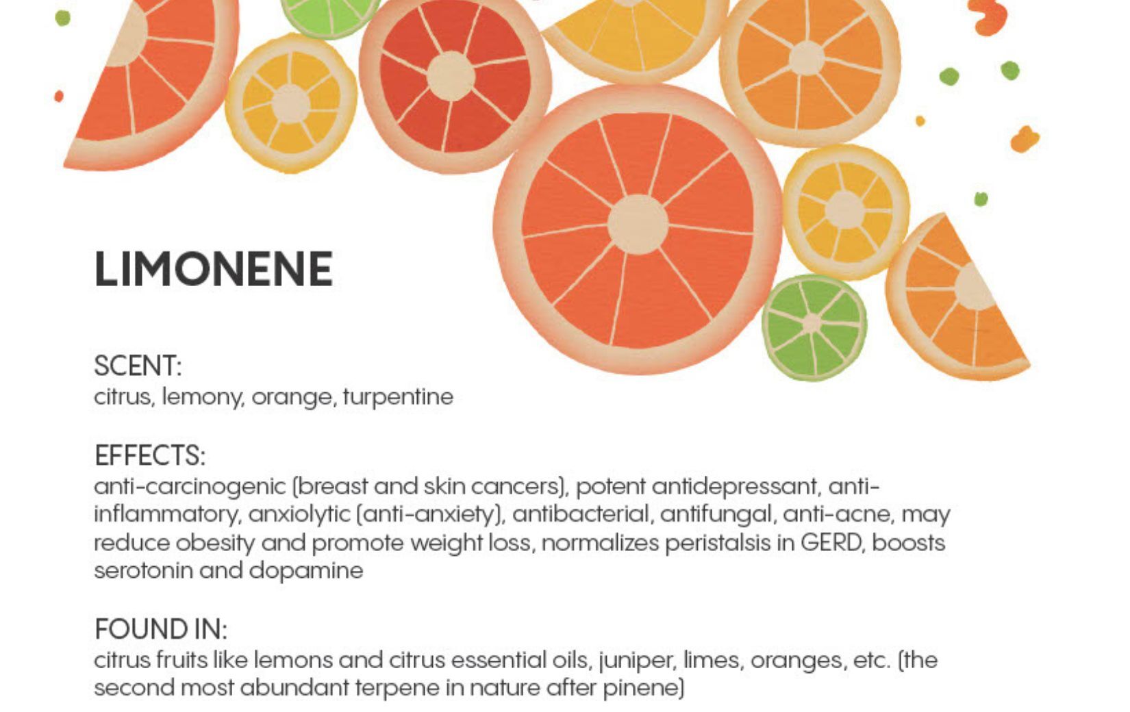 Understanding Terpenes & Cannabinoids – Eshop