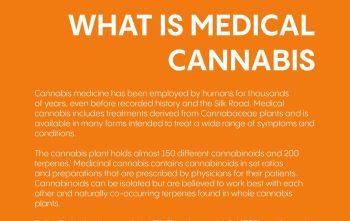 what is medical cannabis