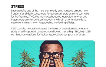 cannabis for stress